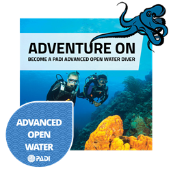 Advanced Openwater Diver
